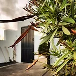 La Mimosa Teguise (Lanzarote)