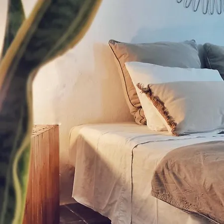 La Mimosa Teguise (Lanzarote)