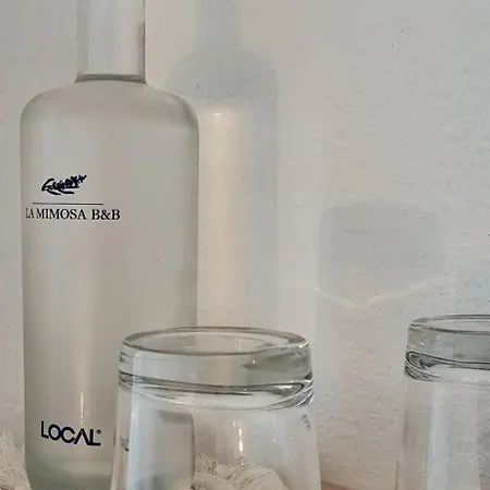 Bed and Breakfast La Mimosa