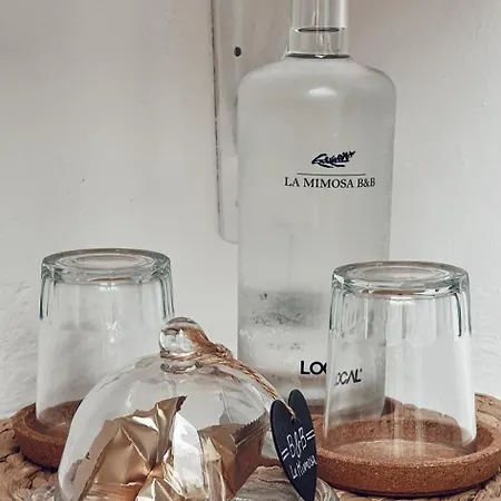 La Mimosa Teguise (Lanzarote)