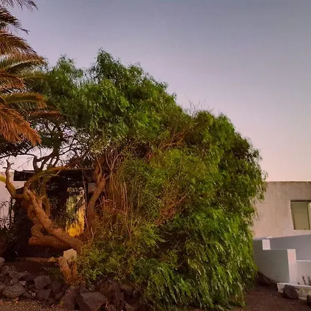 La Mimosa Teguise (Lanzarote)