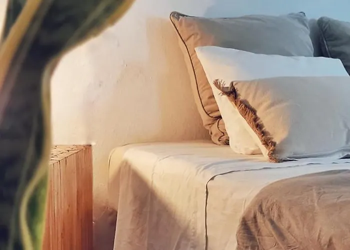 La Mimosa Teguise (Lanzarote)