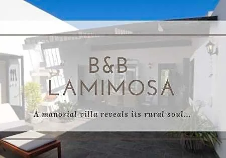 Bed and Breakfast La Mimosa Teguise (Lanzarote)