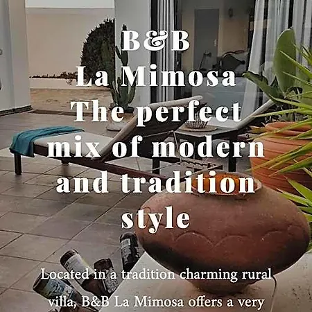 La Mimosa Couette-café Teguise (Lanzarote)