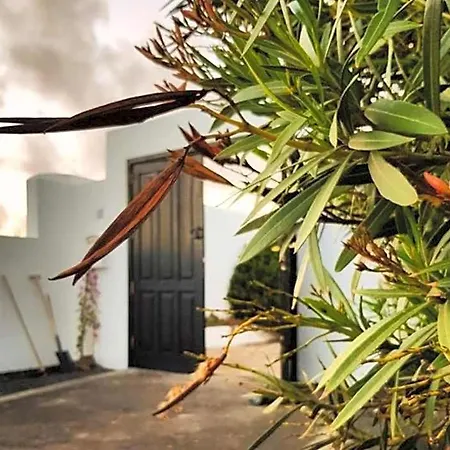 Alojamento de Acomodação e Pequeno-almoço La Mimosa Teguise (Lanzarote)