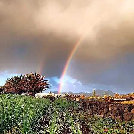 La Mimosa Teguise (Lanzarote)