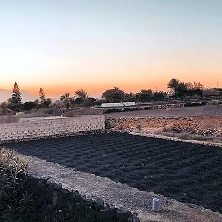 La Mimosa Teguise (Lanzarote)