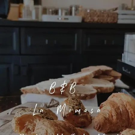La Mimosa Couette-café
