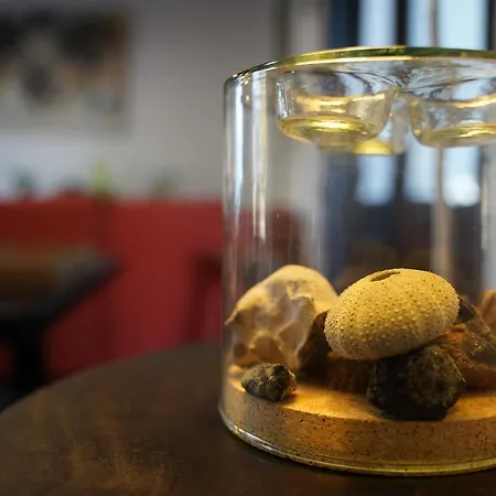 La Mimosa Couette-café 4*