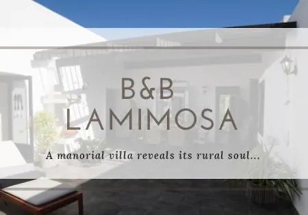 La Mimosa * Teguise (Lanzarote)