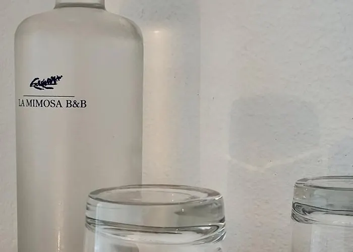 Oda ve Kahvaltı La Mimosa