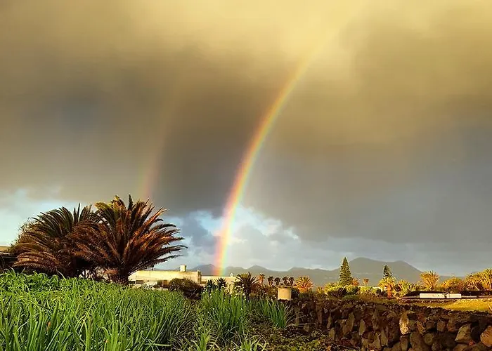 La Mimosa Oda ve Kahvaltı