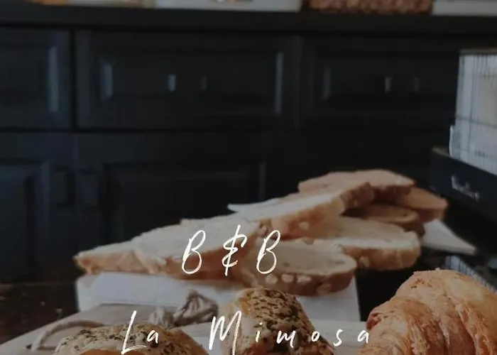 La Mimosa Oda ve Kahvaltı