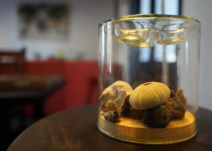 La Mimosa Oda ve Kahvaltı 4*