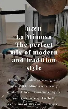 La Mimosa Frühstückspension Teguise (Lanzarote)
