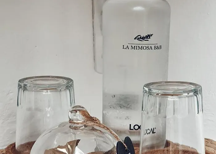 La Mimosa Teguise (Lanzarote)