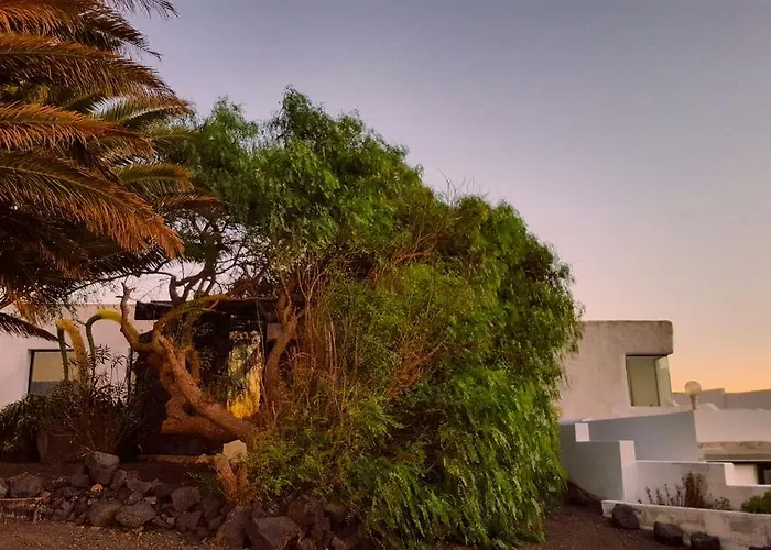 La Mimosa Teguise (Lanzarote)