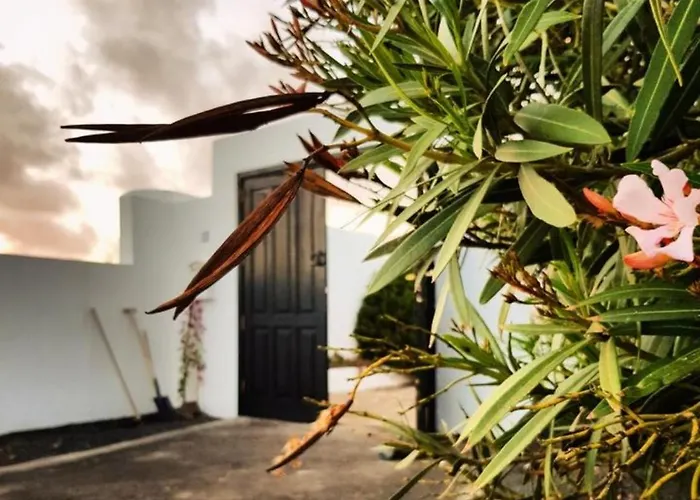 La Mimosa Teguise (Lanzarote)